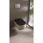 Flaminia Flag Miska WC wisząca bez kołnierza 54x38 cm Argilla FG118GARG