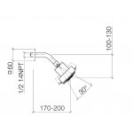 DornBracht Główka prysznicowa platyna mat 2850898006