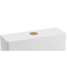 Britton Przycisk do spłuczki brushed brass BRBBB1