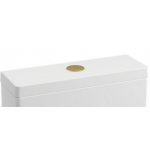 Britton Przycisk do spłuczki brushed brass BRBBB1