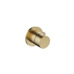 Hotbath Ace Mieszacz podtynkowy 2-drożny z funkcją odcinającą - element zewnętrzny Brushed Brass PVD AC111.BBP