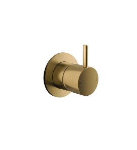 Hotbath Cobber Bateria natryskowa podtynkowa - element zewnętrzny Brushed Brass CB131.BB