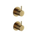 Hotbath Cobber Bateria natryskowa podtynkowa 2-drożna z zaworem odcinającym - element zewnętrzny Brushed Brass CB129.BB