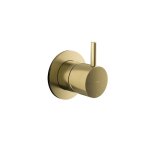 Hotbath Cobber Mieszacz podtynkowy 2-drożny z funkcją odcinającą - element zewnętrzny Brushed Brass PVD CB111.BBP