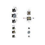 Hotbath Cobber Bateria natryskowa termostatyczna podtynkowa z 2 zaworami - element zewnętrzny Brushed Brass CB007.BB