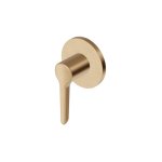 Zucchetti Medameda Zawór/przełącznik 2-drożny podtynkowy - element zewnętrzny Brushed British Gold PVD Z94610.P31