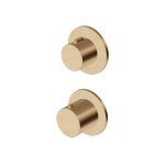 Zucchetti Medameda Bateria termostatyczna natryskowa podtynkowa - element zewnętrzny Brushed British Gold PVD ZPA801.P31