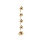 Zucchetti Medameda Bateria termostatyczna natryskowa podtynkowa 5-otworowa - element zewnętrzny Brushed British Gold PVD ZMM804.P31