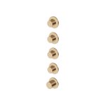 Zucchetti Medameda Bateria termostatyczna natryskowa podtynkowa 5-otworowa - element zewnętrzny Brushed British Gold PVD ZPA804.P31