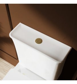 Burlington Strand Przycisk spłukujący brushed brass SNWCBUTTONF