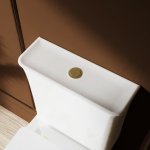 Burlington Strand Przycisk spłukujący brushed brass SNWCBUTTONF