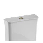 Burlington Strand Przycisk spłukujący brushed brass SNWCBUTTONF