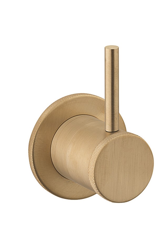 Crosswater MPRO Industrial Przełącznik 2-drożny podtynkowy brushed brass PRI0007WUB
