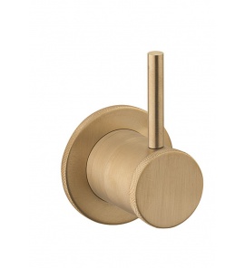 Crosswater MPRO Industrial Przełącznik 2-drożny podtynkowy brushed brass PRI0007WUB