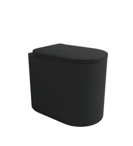 Flaminia Astra Plus Miska stojąca 52x35 z deską wolnoopadającą slim carbone matt AS117RGCAR+ASCW05CAR