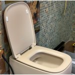 Flaminia Flag Deska wolnoopadająca 54x38 cm Argilla FGCW03ARG