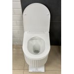  Galatea Design Belang Miska bezrantowa 48,5x35 z deską wolnoopadającą biały połysk GDG111GW