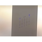 HOESCH SensePerience Kabina parowa prostokątna przyścienna bez brodzika 1600x1000 biała 533361B.550