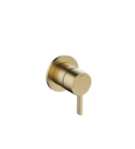 Hotbath Ace Bateria natryskowa podtynkowa - element zewnętrzny Brushed Brass PVD AC131.BBP