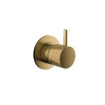 Hotbath Cobber Bateria natryskowa podtynkowa - element zewnętrzny Brushed Brass CB131.BB