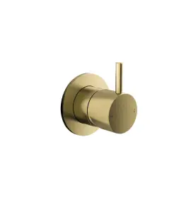 Hotbath Cobber Bateria natryskowa podtynkowa - element zewnętrzny Brushed Brass PVD CB131.BBP
