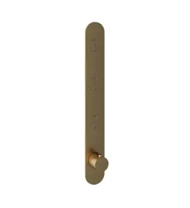 Hotbath Cobber Bateria termostatyczna 3-drożna podtynkowa z przyciskiem element zewnętrzny Brushed Brass PB050.BB