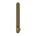 Hotbath Cobber Bateria termostatyczna 3-drożna podtynkowa z przyciskiem element zewnętrzny Brushed Brass PB050.BB