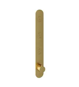 Hotbath Cobber Bateria termostatyczna 3-drożna podtynkowa z przyciskiem element zewnętrzny Brushed Brass PVD PB050.BBP