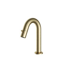 Hotbath Cobber Kran do zimnej wody Brushed Brass U001.BB
