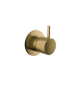 Hotbath Cobber Mieszacz podtynkowy 2-drożny z funkcją odcinającą - element zewnętrzny Brushed Brass CB111.BB