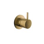 Hotbath Cobber Mieszacz podtynkowy 2-drożny z funkcją odcinającą - element zewnętrzny Brushed Brass CB111.BB