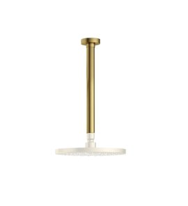 Hotbath Guy Ramię sufitowe do deszczownicy 300 mm Brushed Brass PVD CB453.BBP