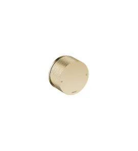 Hotbath Guy Row Bateria natryskowa podtynkowa - element zewnętrzny Brushed Brass PVD GY031R.BBP