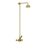 Lefroy Brooks Classic Bateria natryskowa termostatyczna ścienna z deszczownicą Ø 129 mm i zestawem prysznicowym Polished Brass BL8701PB