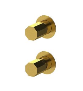 Remer Ottagono Bateria wannowo-natryskowa podtynkowa 2-drożna - element zewnętrzny Brushed Gold ON92PWBBG