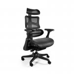 Unique Ergothrone Fotel biurowy ergonomiczny Czarny CM-B37A-3
