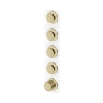 Zucchetti Sablier Bateria termostatyczna natryskowa podtynkowa 4-drożna - element zewnętrzny Brushed British Gold PVD ZSL804.XP31