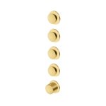 Zucchetti Sablier Bateria termostatyczna natryskowa podtynkowa 4-drożna - element zewnętrzny Brushed Gold PVD ZSL804.XP41
